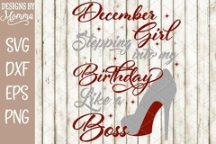 12 Month Set – Stepping into my Birthday SVG DXF PNG Cut File Cricut Silhouette