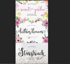 Fonts Bundle of bundles Premium Fonts
