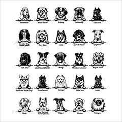 PEEKING DOGS CLIPART-VECTOR CLIP ART-VINYL CUTTER PLOTTER IMAGES-EPS GRAPHICS CD