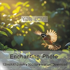 Digital Image Picture Photo Wallpaper Background Desktop Art Bird