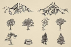 TRENDING Nature Forest Hand-Drawn Vector Elements – 31 Unique Illustrations