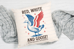 Vintage 4th of July PNG Bundle Patriotic Sublimation Designs, Digital Download