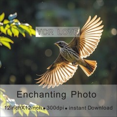 Digital Image Picture Photo Wallpaper Background Desktop Art Bird