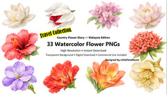 Watercolor Flower PNG Bundle 33pcs | Floral Clipart | 300 DPI | Digital Download