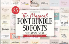 Fonts Bundle of bundles Premium Fonts