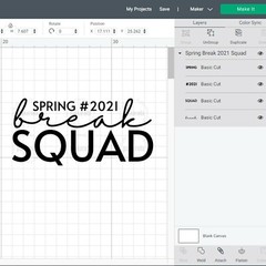 SVG, PNG, JPEG “Spring Break 2021 Squad, Funny Spring” For Cricut Design Space