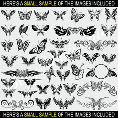BUTTERFLY CLIPART -VECTOR CLIP ART-VINYL CUTTER PLOTTER IMAGES & EPS GRAPHICS CD