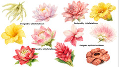 Watercolor Flower PNG Bundle 33pcs | Floral Clipart | 300 DPI | Digital Download
