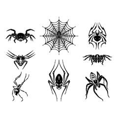 SPIDERS CLIPART-VECTOR CLIP ART-VINYL CUTTER PLOTTER IMAGES &T-SHIRT GRAPHICS CD