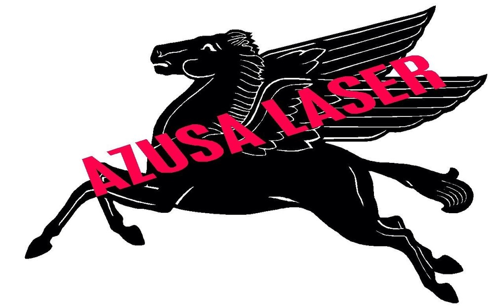 Pegasus dxf CNC cutting file on FLASH drive