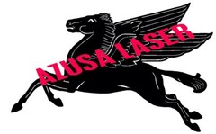 Pegasus dxf CNC cutting file on FLASH drive