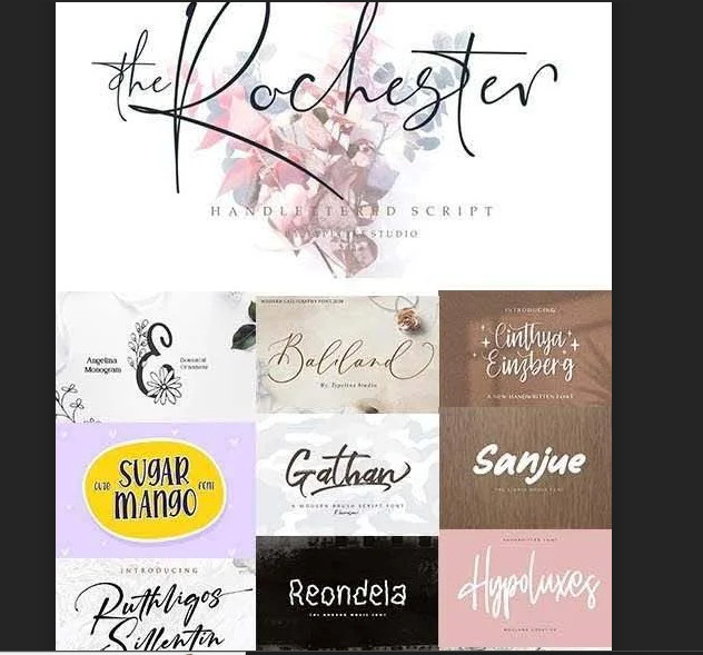 Fonts Bundle of bundles Premium Fonts