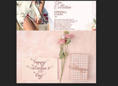 Fonts Bundle of bundles Premium Fonts