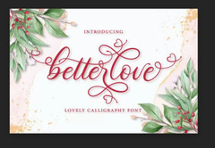 Fonts Bundle of bundles Premium Fonts