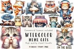 50 Mega Clipart Bundle PNG 1000+ Files, Watercolor Sublimation, Digital Download
