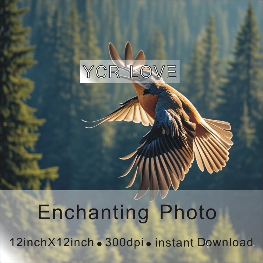 Digital Image Picture Photo Wallpaper Background Desktop Art Bird