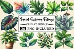 Mega Summer Clipart Bundle, 50 Collections, Digital Download
