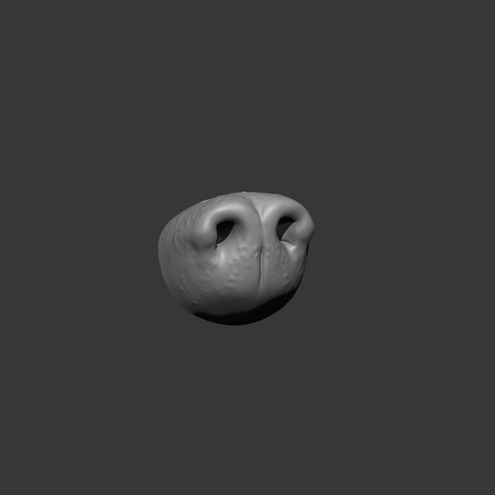 Animal Nose Sculpture STL CNC File – 3D Printable Design