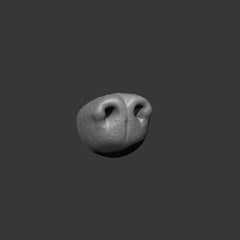 Animal Nose Sculpture STL CNC File – 3D Printable Design