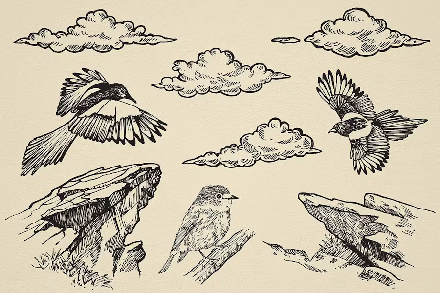 TRENDING Nature Forest Hand-Drawn Vector Elements – 31 Unique Illustrations