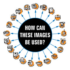 FISH FISHING CLIPART-VECTOR CLIP ART-VINYL CUTTER PLOTTER + T-SHIRT GRAPHICS CD