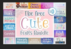 Fonts Bundle of bundles Premium Fonts