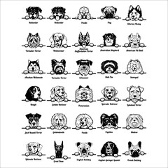 PEEKING DOGS CLIPART-VECTOR CLIP ART-VINYL CUTTER PLOTTER IMAGES-EPS GRAPHICS CD