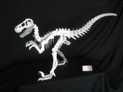 Dinosaur dxf file for CNC cutting. Plasma, laser, water jet. Delivered on CD