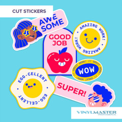 VinylMaster PRO Professional Sign Maker & Sign Shop Software (No Disk) V5